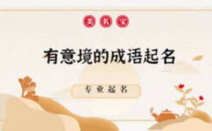 有意境的成語(yǔ)起名