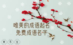 唯美的成語(yǔ)起名，免費(fèi)成語(yǔ)名字