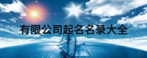 有限公司起名名錄大全