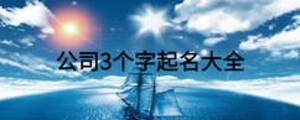 公司3個字起名大全