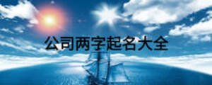 公司兩字起名大全