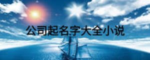 公司起名字大全小說