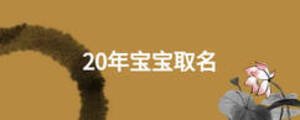 20年寶寶取名