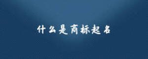 什么是商標(biāo)起名