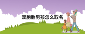 雙胞胎男孩怎么取名
