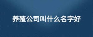 養殖公司叫什么名字好