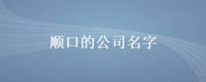 順口的公司名字