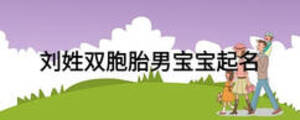劉姓雙胞胎男寶寶起名