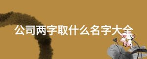 公司兩字取什么名字大全