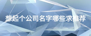 想起個公司名字哪些求推薦