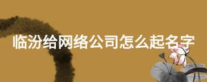 臨汾給網絡公司怎么起名字