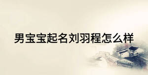 男寶寶起名劉羽程怎么樣