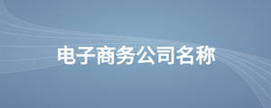 電子商務(wù)公司名稱