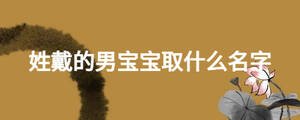 姓戴的男寶寶取什么名字