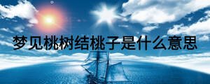 夢見桃樹結(jié)桃子是什么意思