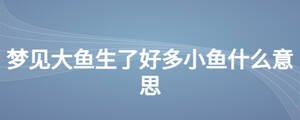 夢見大魚生了好多小魚什么意思