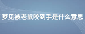 夢見被老鼠咬到手是什么意思