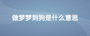 做夢(mèng)夢(mèng)到狗是什么意思