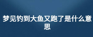 夢見釣到大魚又跑了是什么意思