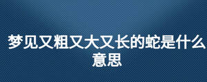 夢見又粗又大又長的蛇是什么意思