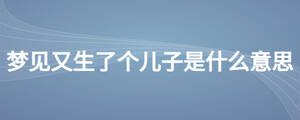 夢(mèng)見又生了個(gè)兒子是什么意思