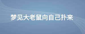 夢(mèng)見(jiàn)大老鼠向自己撲來(lái)