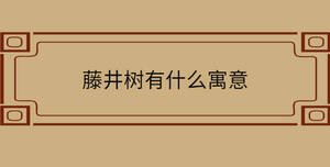 自創(chuàng) - 2022-11-16T143540.309.jpg