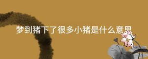 起名 - 2023-04-20T153157.588.jpg