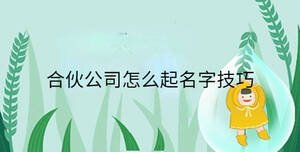 合伙公司怎么起名字技巧