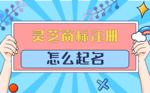 商標(biāo)起名_商標(biāo)名字大全